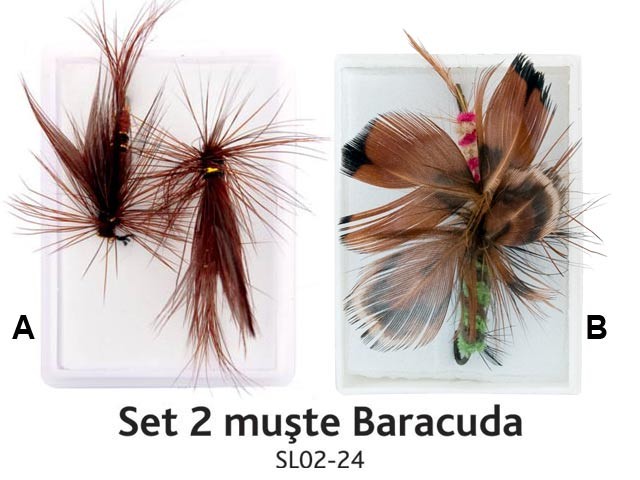 Set 2 muste Baracuda SL02- 24 (cutie)